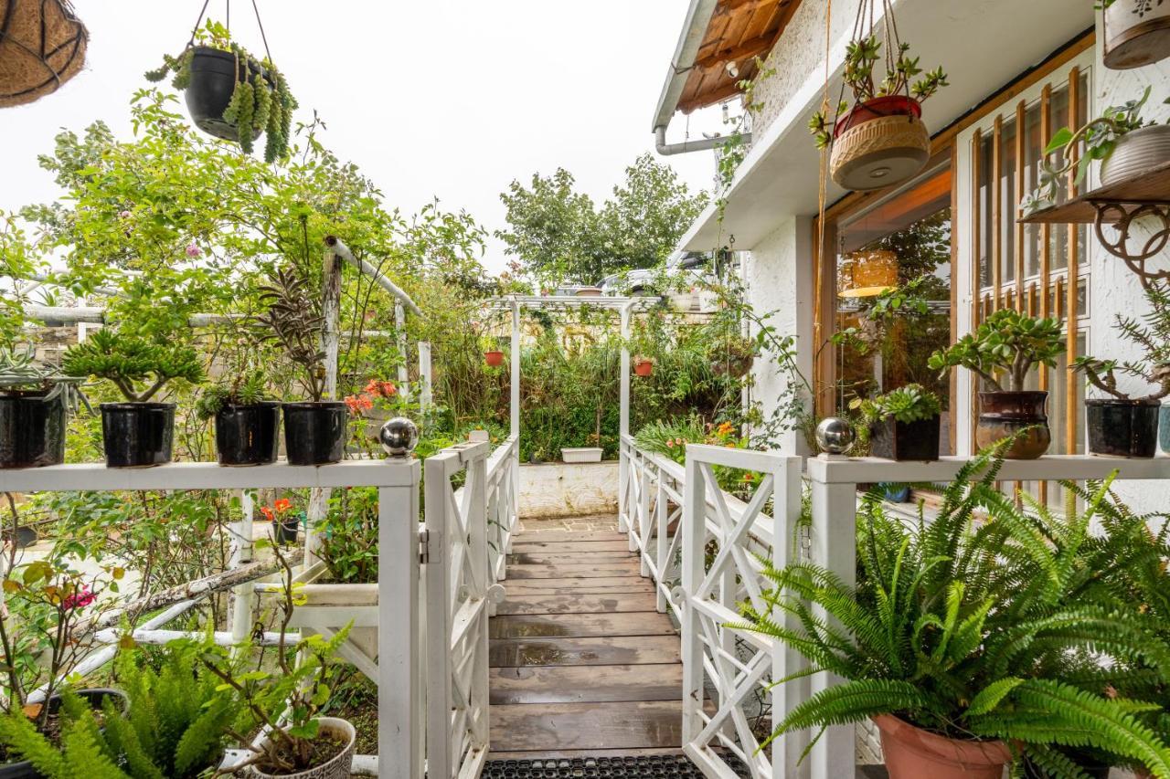 Saffronstays Hydrangea Hill, Mukteshwar Kathgodam Экстерьер фото